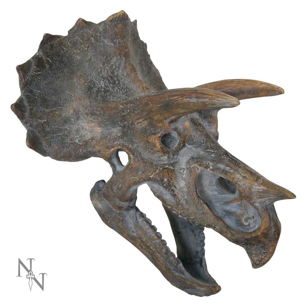 Nemesis Now - Triceratops Head Figurine - Marron